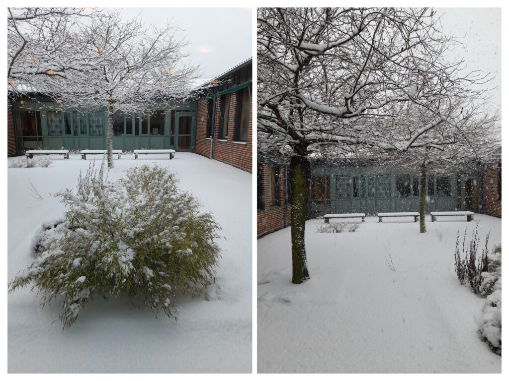 bilder av snö på innergården